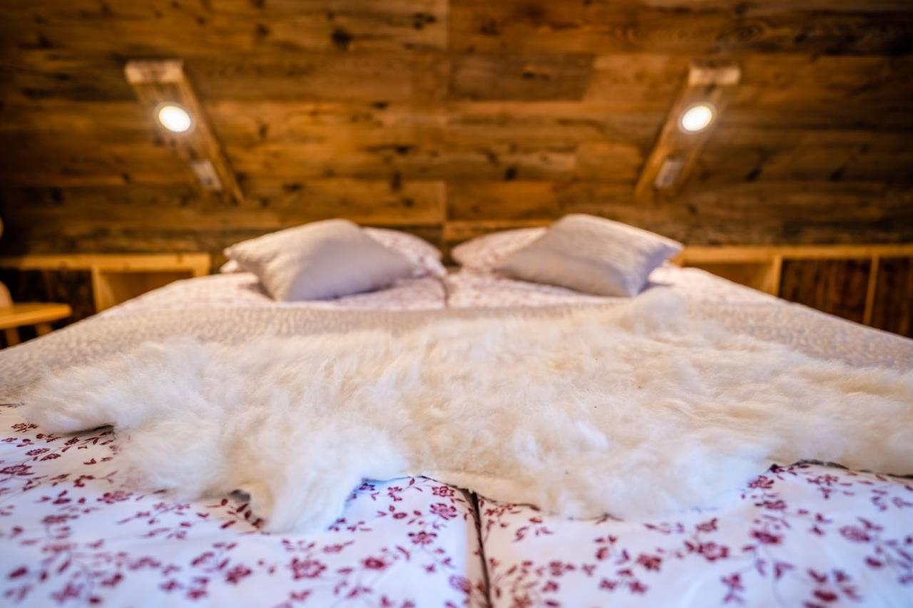 Tourist Farm Senkova Domacija Villa Zgornje Jezersko Ngoại thất bức ảnh